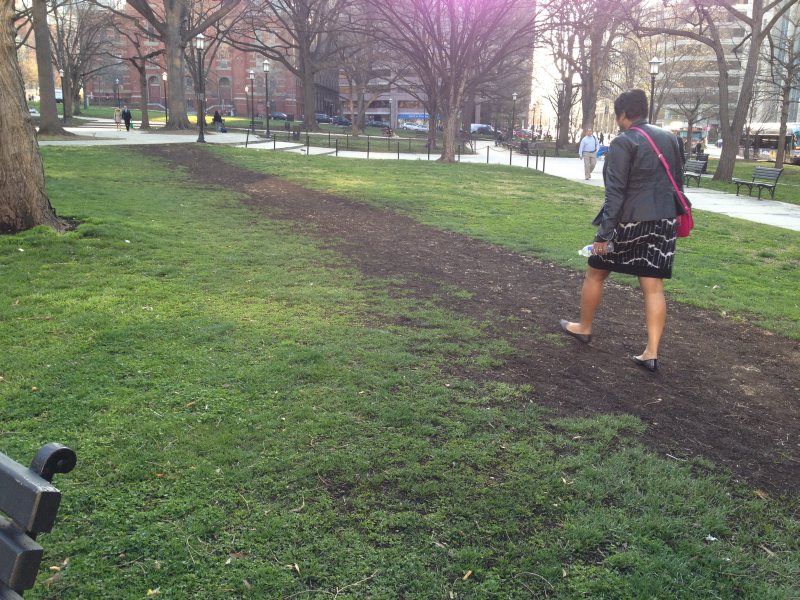 Name:  grass seed.jpg
Views: 109
Size:  167.5 KB