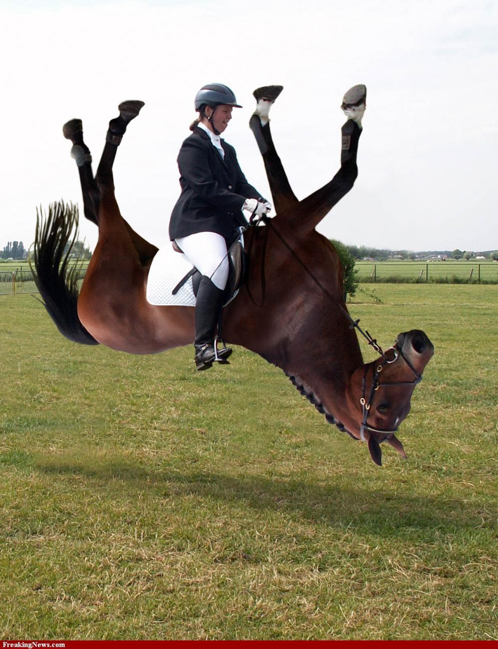 Name:  Aussie horse rider.jpg
Views: 144
Size:  190.8 KB