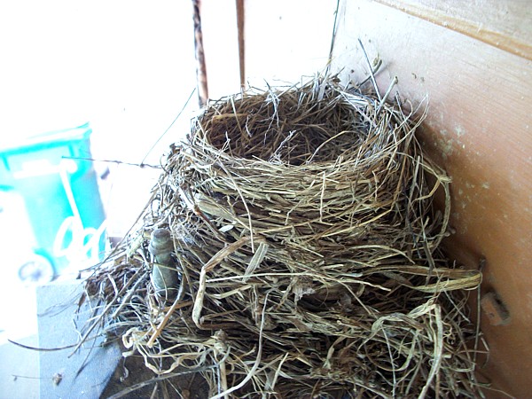 Name:  New Home 1.jpg
Views: 652
Size:  124.0 KB