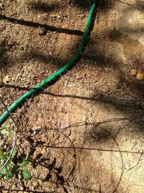 Name:  ImageUploadedByTapatalk1369701576.027719.jpg
Views: 413
Size:  110.2 KB