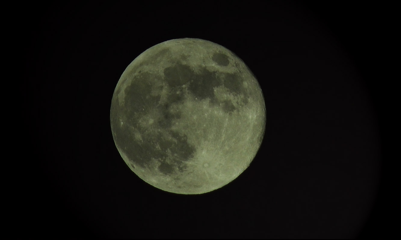 Name:  DSC_0002.JPG
Views: 186
Size:  78.2 KB