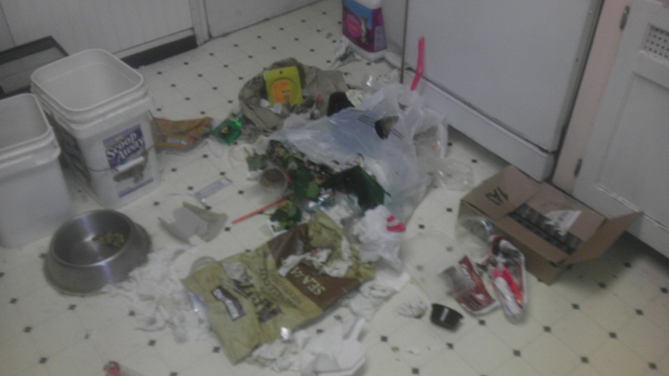Name:  IMAG0424sm.jpg
Views: 2139
Size:  114.7 KB