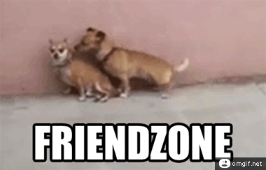 Name:  Friend Zone.gif
Views: 1355
Size:  173.8 KB