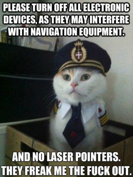 Name:  Cat_Pilot.jpg
Views: 585
Size:  71.4 KB