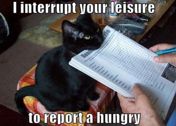Name:  Interruptor_Cat.jpg
Views: 568
Size:  47.7 KB