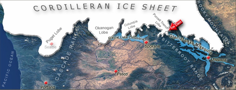 Name:  Cordilleran.jpg
Views: 1613
Size:  108.1 KB