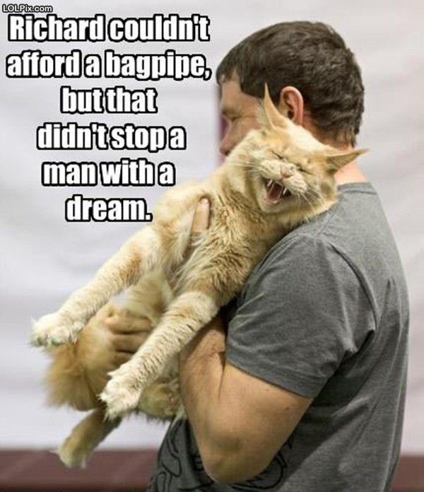 Name:  bagpipkitteh.jpg
Views: 558
Size:  66.5 KB