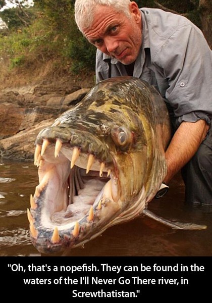 Name:  nopefish.jpg
Views: 2350
Size:  80.7 KB