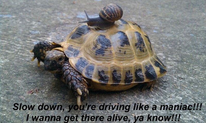Name:  slowdown.jpg
Views: 1120
Size:  115.6 KB