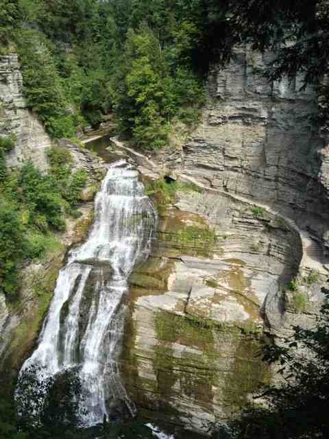 Name:  ImageUploadedByTapatalk1375799954.999349.jpg
Views: 285
Size:  87.7 KB