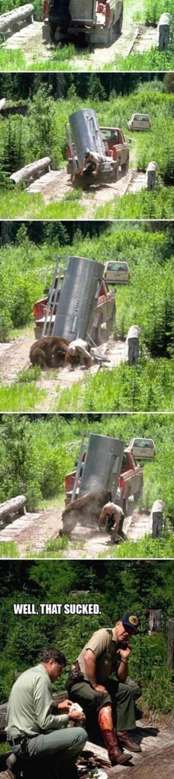 Name:  Release_The_Bear2.jpg
Views: 1709
Size:  119.6 KB