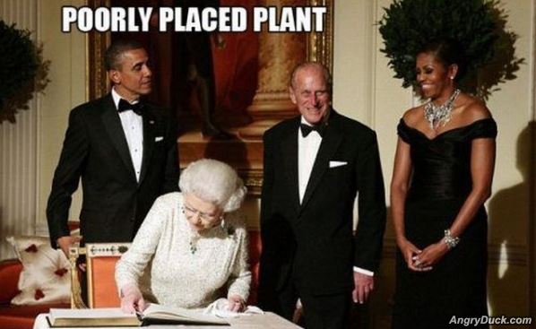 Name:  Well_Placed_Plant.jpg
Views: 966
Size:  38.3 KB