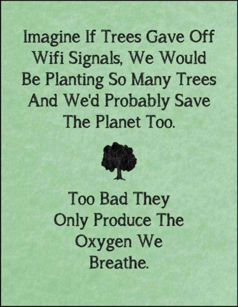 Name:  Trees.jpg
Views: 3291
Size:  73.6 KB