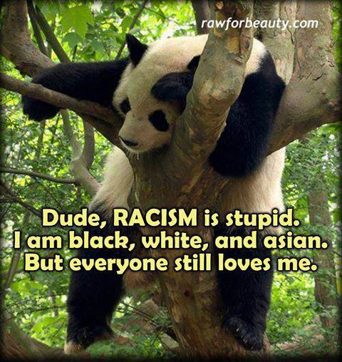 Name:  panda_racist.jpg
Views: 428
Size:  56.6 KB