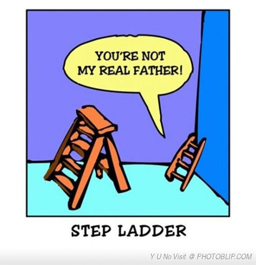 Name:  stepladder.jpg
Views: 1006
Size:  42.9 KB