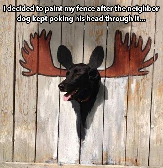 Name:  neighbordog.jpg
Views: 855
Size:  66.9 KB