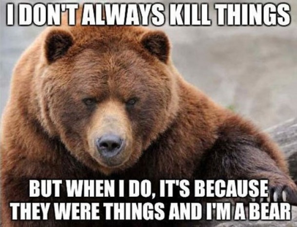Name:  mostinterestingbear.jpg
Views: 999
Size:  78.3 KB