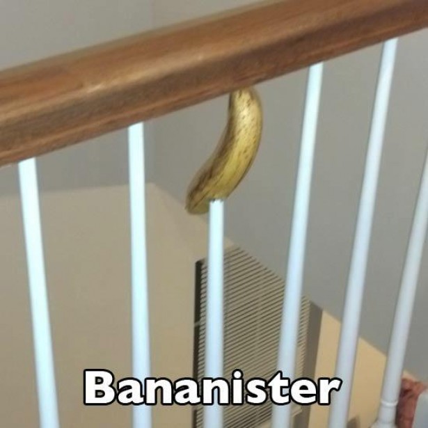 Name:  bananister.jpg
Views: 531
Size:  53.4 KB
