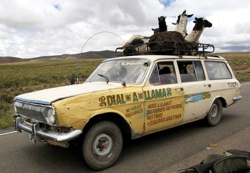 Name:  dialallama.jpg
Views: 744
Size:  109.7 KB