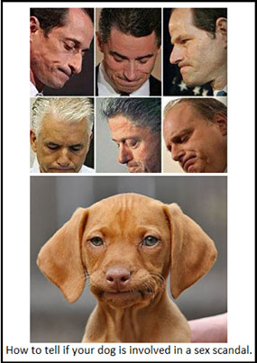 Name:  dogface.jpg
Views: 1117
Size:  48.8 KB