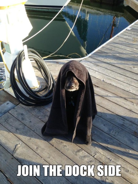 Name:  cometothedockside.jpg
Views: 420
Size:  80.7 KB