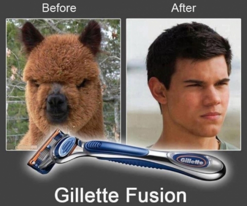 Name:  gillette-fusion.jpg
Views: 910
Size:  133.0 KB