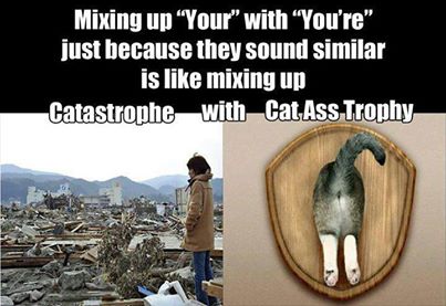 Name:  catass.jpg
Views: 895
Size:  27.7 KB