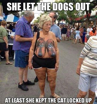Name:  dogCat.jpg
Views: 909
Size:  31.0 KB