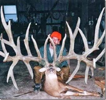 Name:  deer1.jpg
Views: 814
Size:  27.5 KB