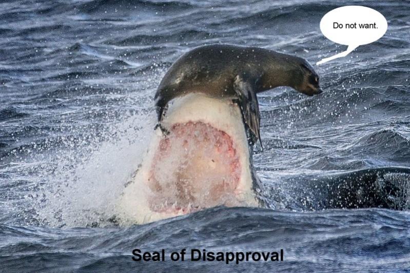Name:  seal&shark.jpg
Views: 471
Size:  93.7 KB