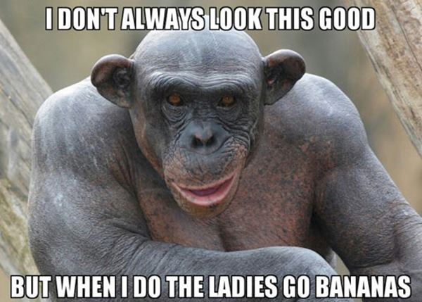 Name:  Looking_This_Good.jpg
Views: 353
Size:  58.0 KB