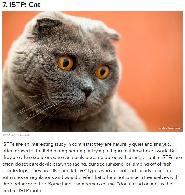 Name:  i iz kitteh.JPG
Views: 348
Size:  93.4 KB