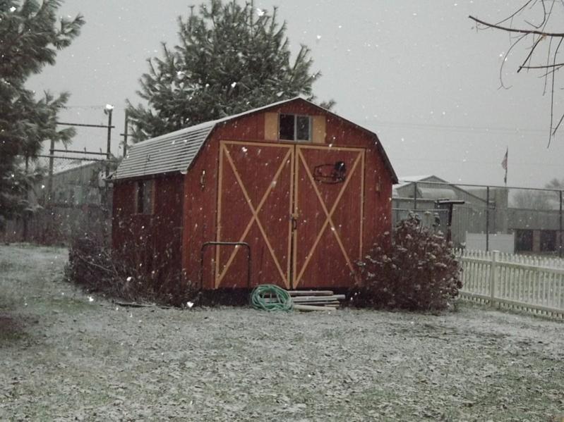 Name:  snow.jpg
Views: 407
Size:  78.9 KB