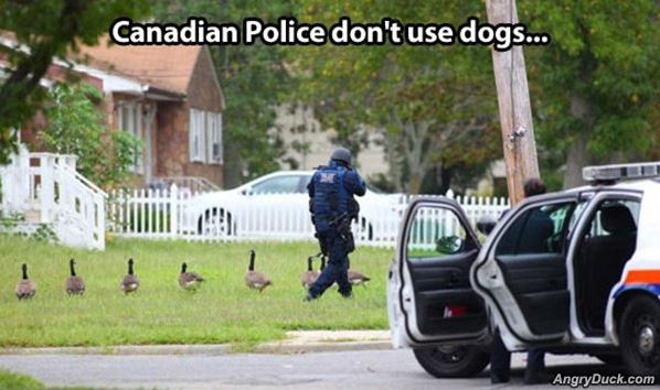 Name:  Canadian_Police.jpg
Views: 1235
Size:  45.9 KB