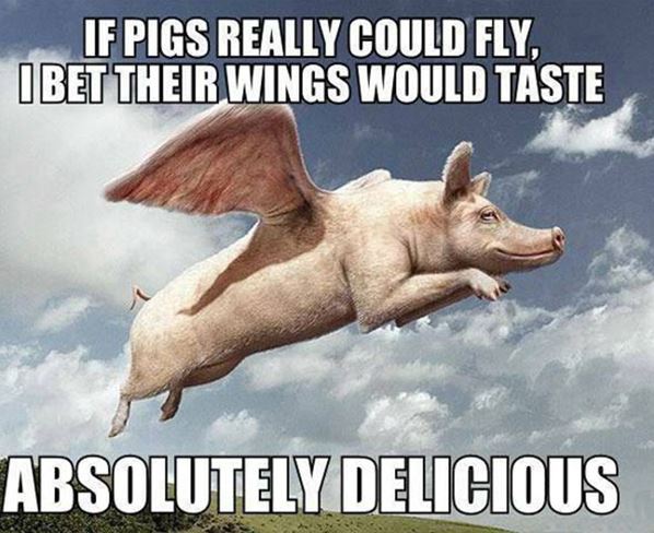 Name:  If_Pigs_Could_Fly.jpg
Views: 887
Size:  58.5 KB