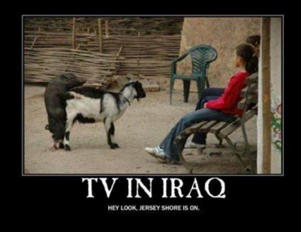 Name:  Tv_In_Iraq.jpg
Views: 1079
Size:  38.2 KB