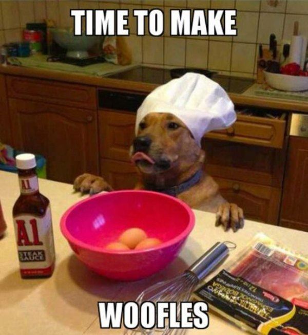 Name:  Woofles.jpg
Views: 1130
Size:  59.7 KB