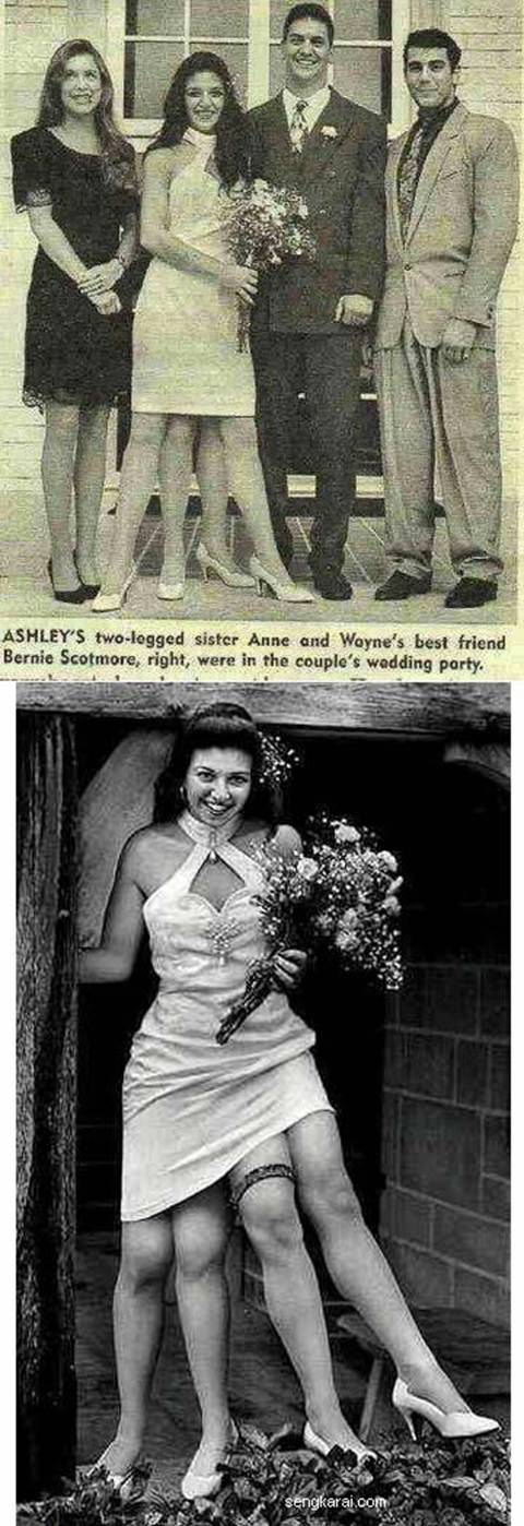 Name:  wtfwtfwtf.jpg
Views: 603
Size:  117.2 KB