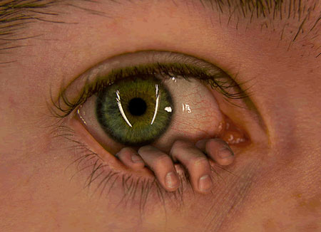 Name:  eye.jpg
Views: 1549
Size:  30.6 KB