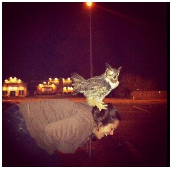 Name:  callmeowl.JPG
Views: 1233
Size:  43.4 KB