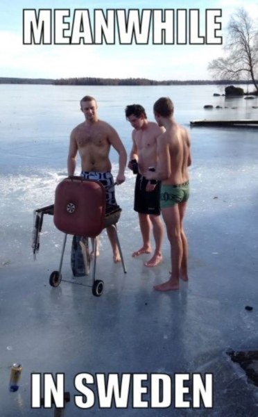 Name:  Meanwhile_In_Sweden.jpg
Views: 2415
Size:  54.3 KB