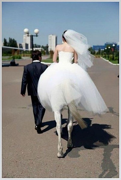 Name:  SJPweddingpic.JPG
Views: 1926
Size:  58.2 KB