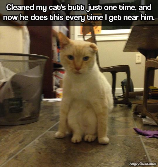 Name:  Just_One_Time.jpg
Views: 1373
Size:  50.9 KB
