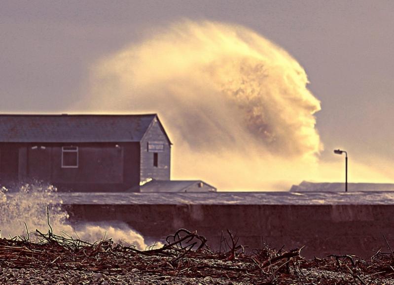 Name:  waveface1.jpg
Views: 1157
Size:  59.3 KB