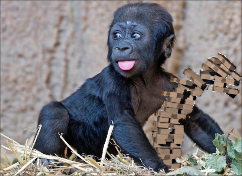 Name:  JENGOJENGA.jpg
Views: 1426
Size:  150.1 KB