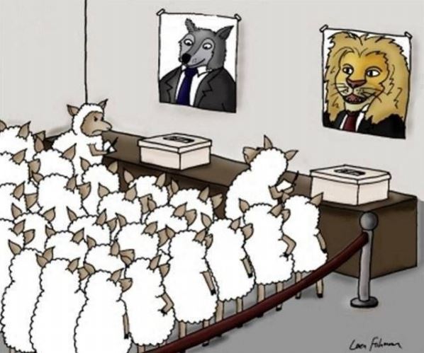 Name:  Politics.jpg
Views: 470
Size:  48.9 KB