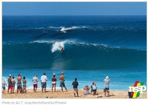 Name:  surfing humpbacks.JPG
Views: 1455
Size:  53.8 KB