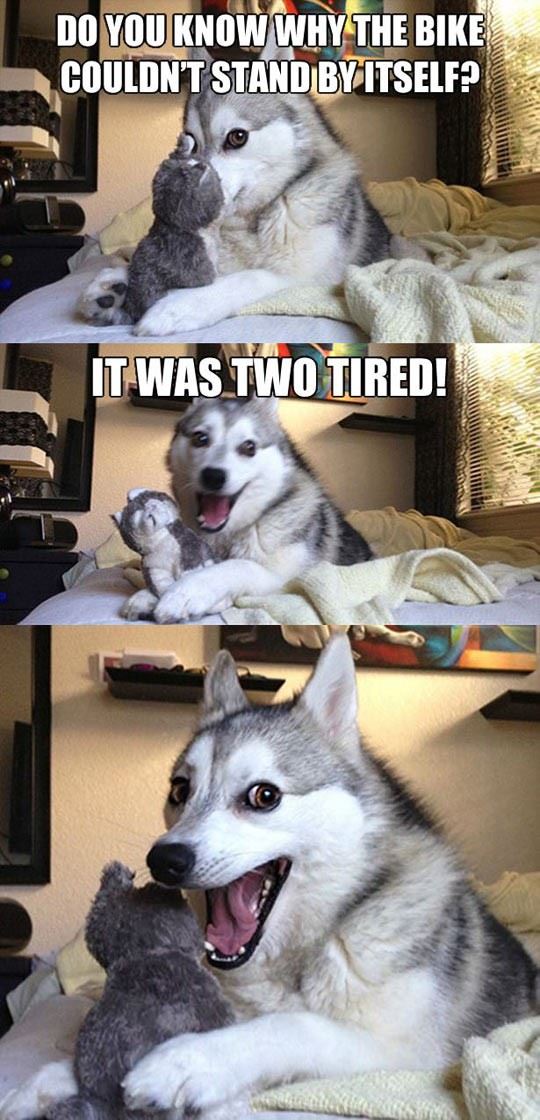 Name:  husky_bike_joke.jpg
Views: 582
Size:  120.7 KB
