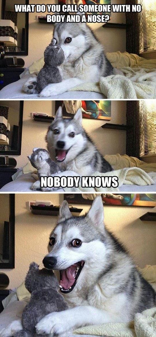 Name:  no_body_and_no_nose.jpg
Views: 597
Size:  122.8 KB