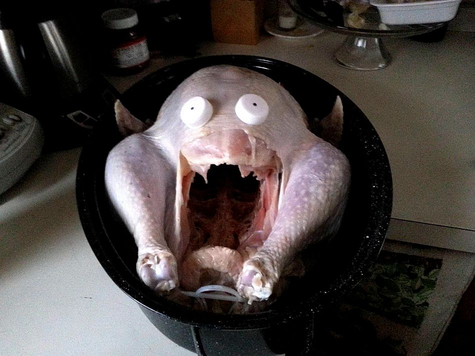 Name:  shockedturkey.jpg
Views: 619
Size:  108.7 KB